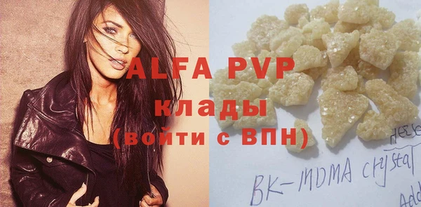 прущие грибы Белая Холуница