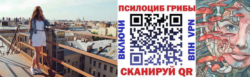 omg как войти  где купить   Ясногорск  Псилоцибиновые грибы прущие грибы 